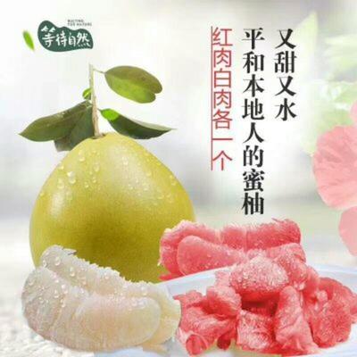 湖北宜昌秭歸縣柚子 沙田柚批發(fā)市場(chǎng)探析，0.60元/斤的價(jià)格優(yōu)勢(shì)與品質(zhì)保障